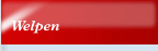 Welpen